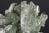 Anatase Crystals on Quartz with Chlorite Inclusions/Phantoms #176820-7